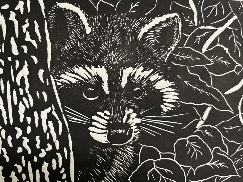 linocut print of a raccoon